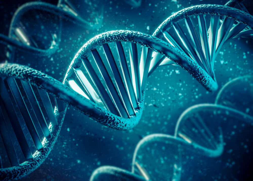 compatibilidade genética